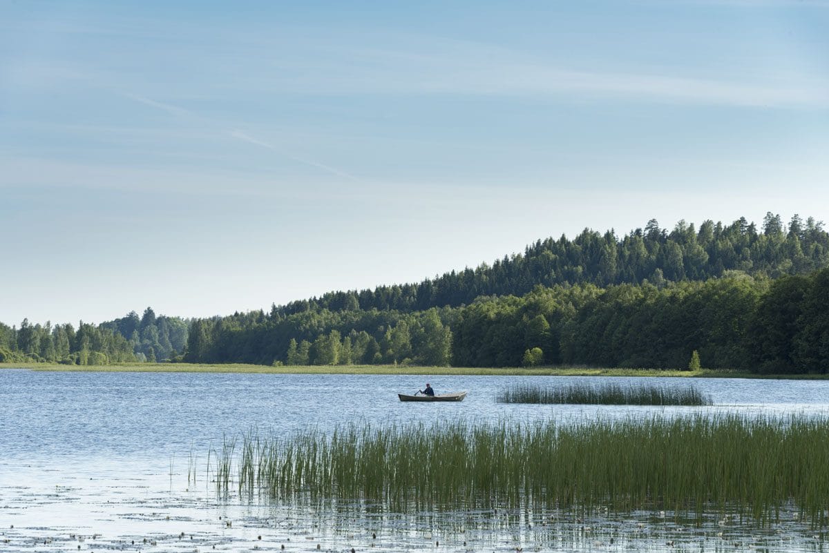 vihti finland lake reeds