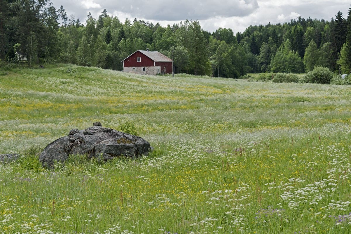 countryside finland