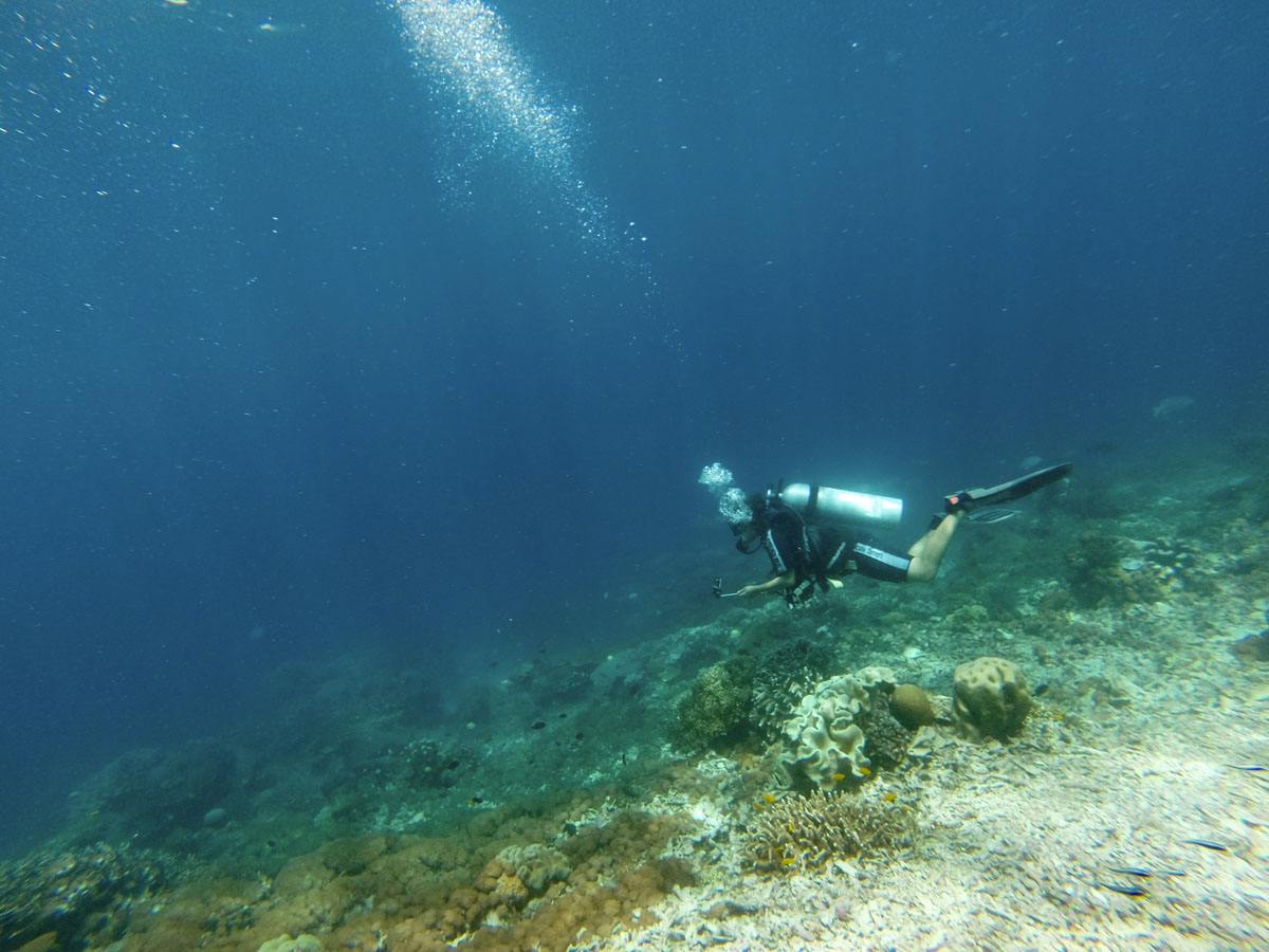 diving-raja-ampat-islands