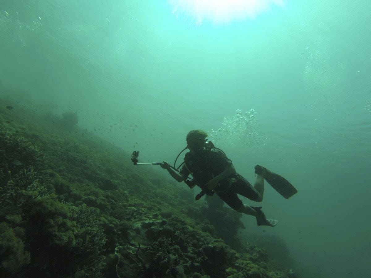 raja-ampat-diving-indonesia