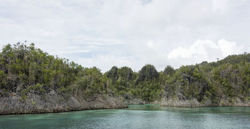 raja-ampat-indonesia-pianemo-islands