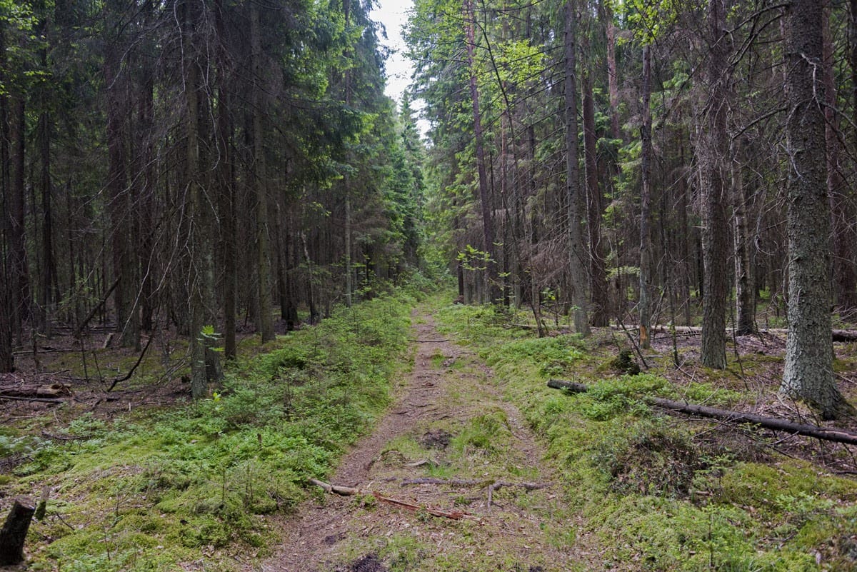 sipoonkorpi national park trails