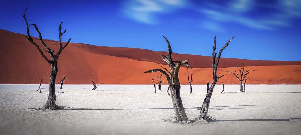 namibia desert