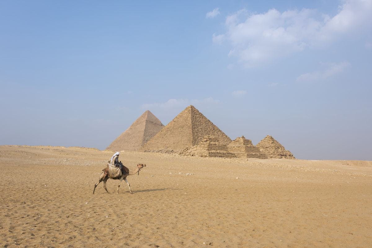 pyramids giza egypt camel