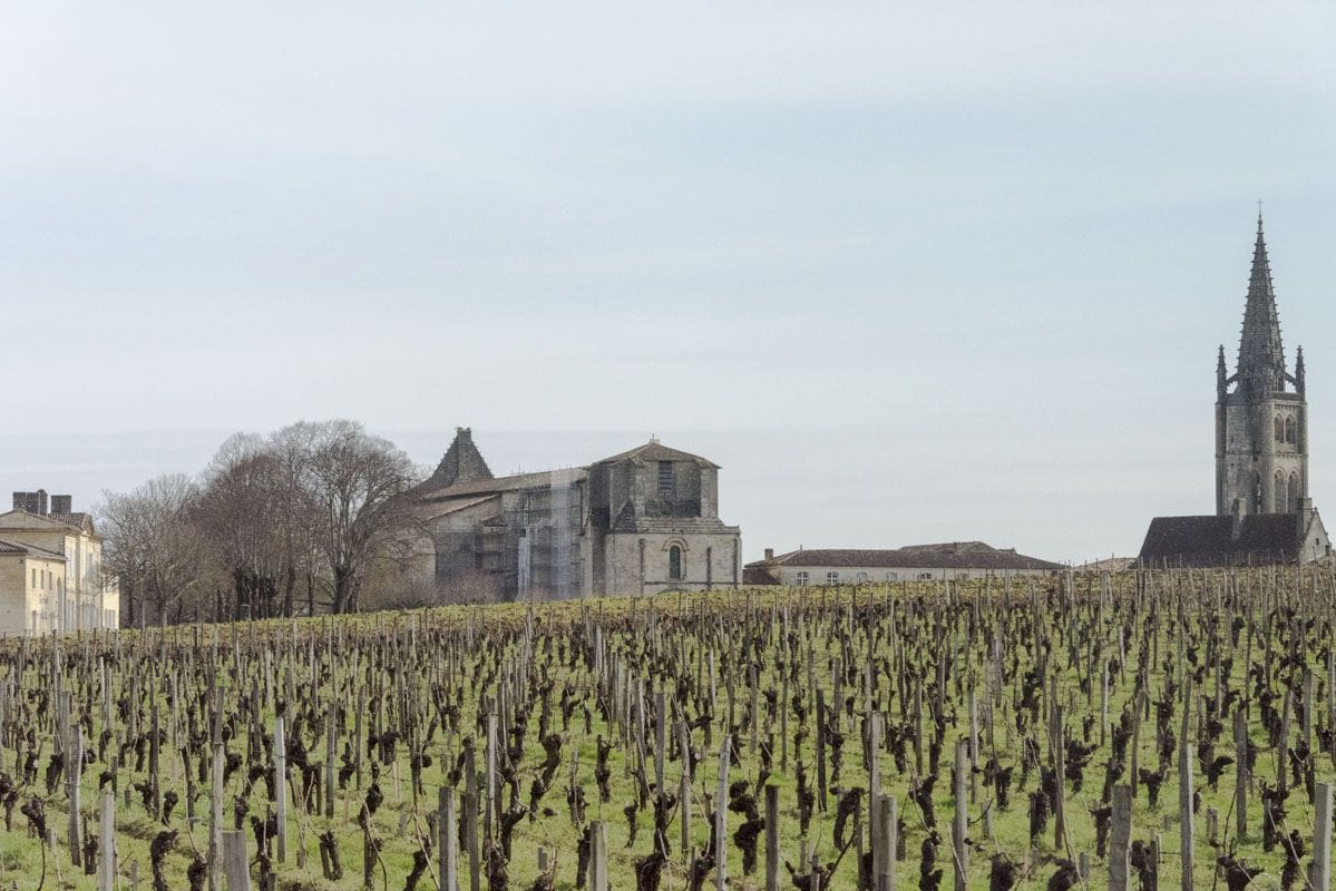 saint emilion vineyard