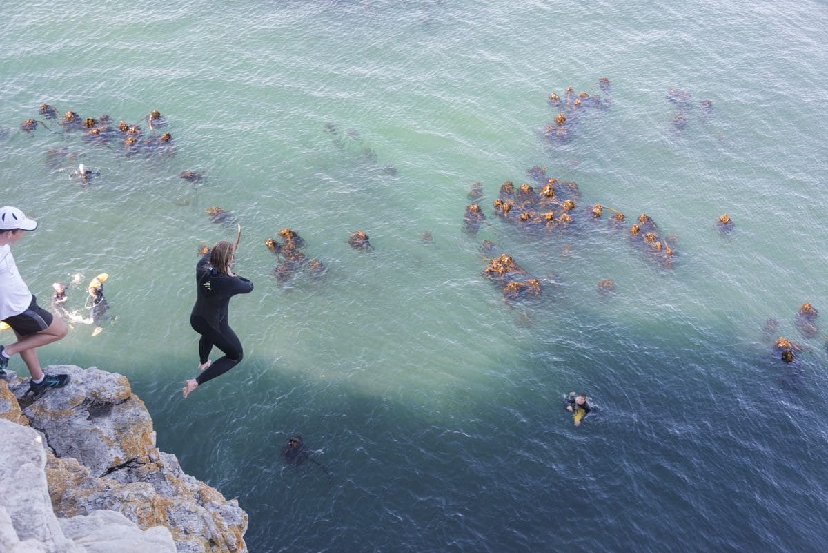 walker bay xtreme jump marghe