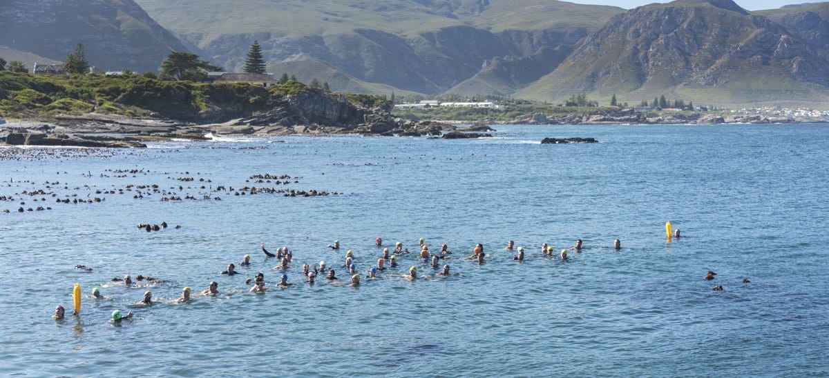 walker bay xtreme swimming