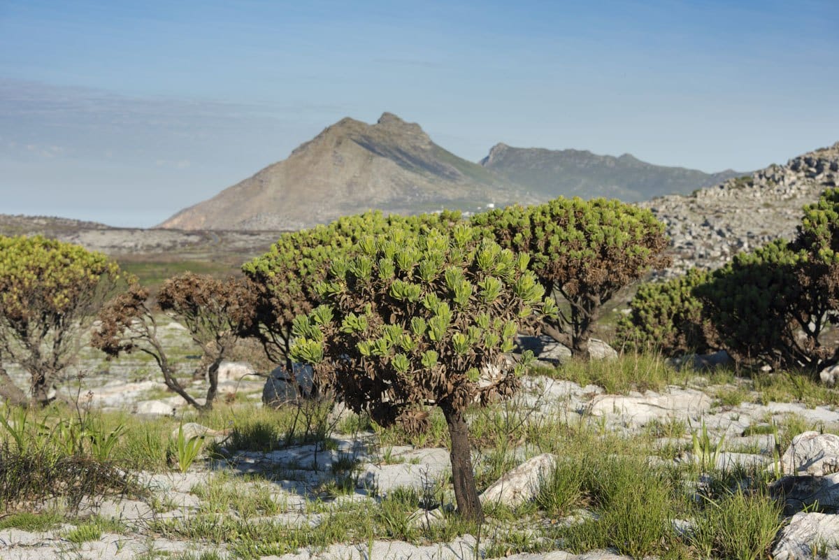 cape town day trips kleinplaas dam