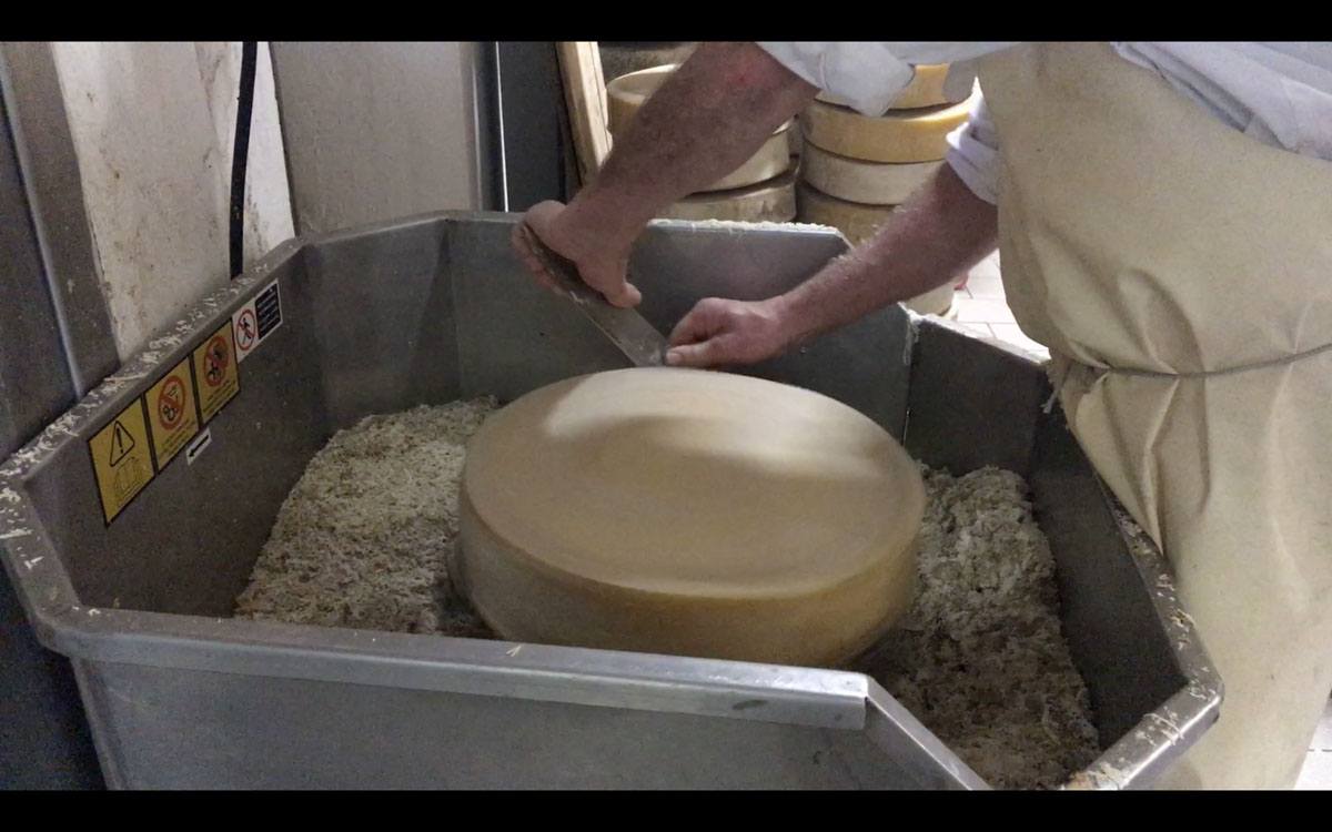 cheesemaker valtorta