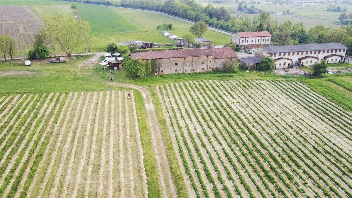 farm aerial