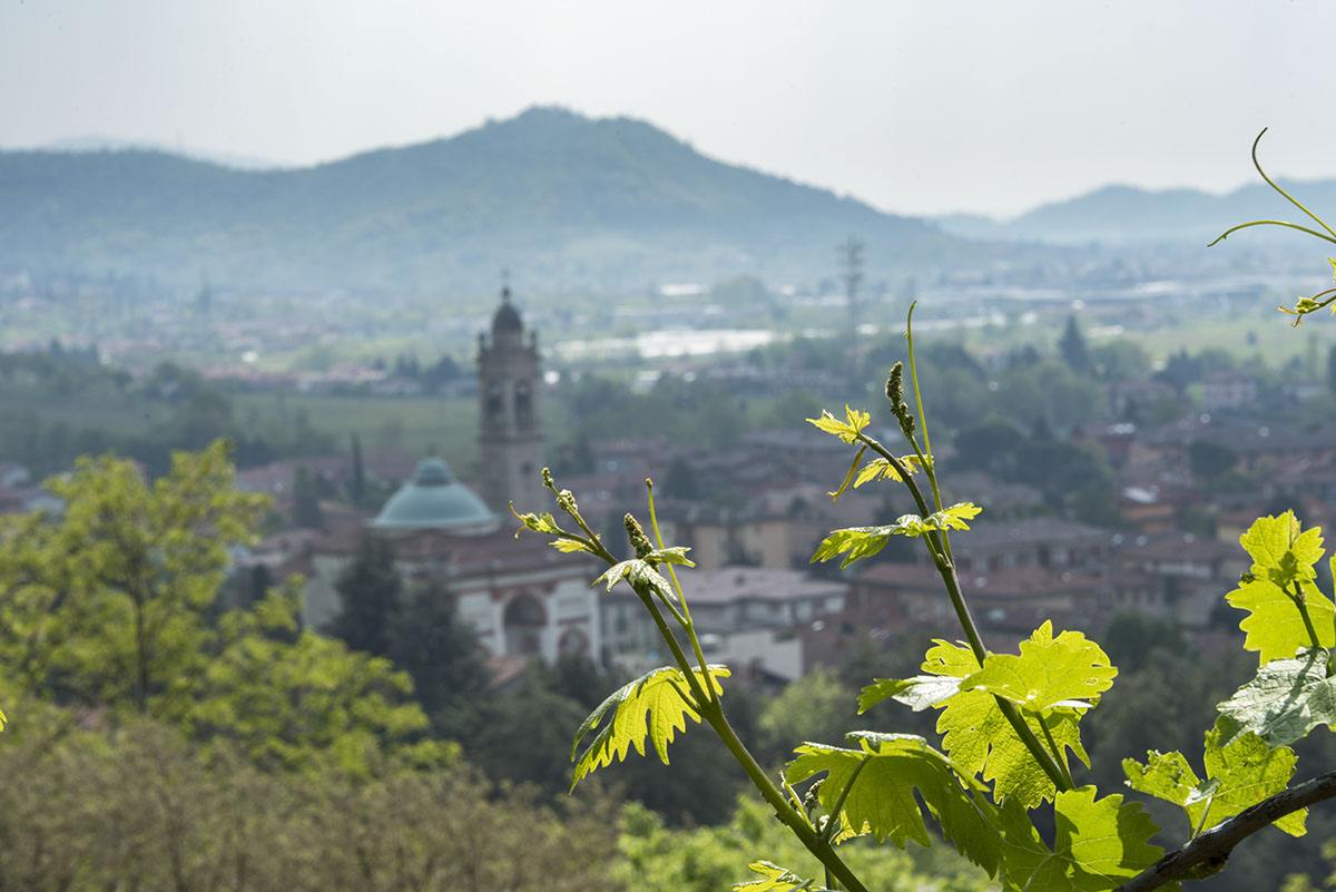 moscato di scanzo mountains