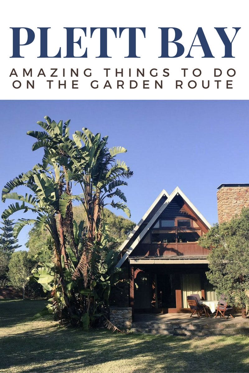 things to do in plettenberg and garden route south africa