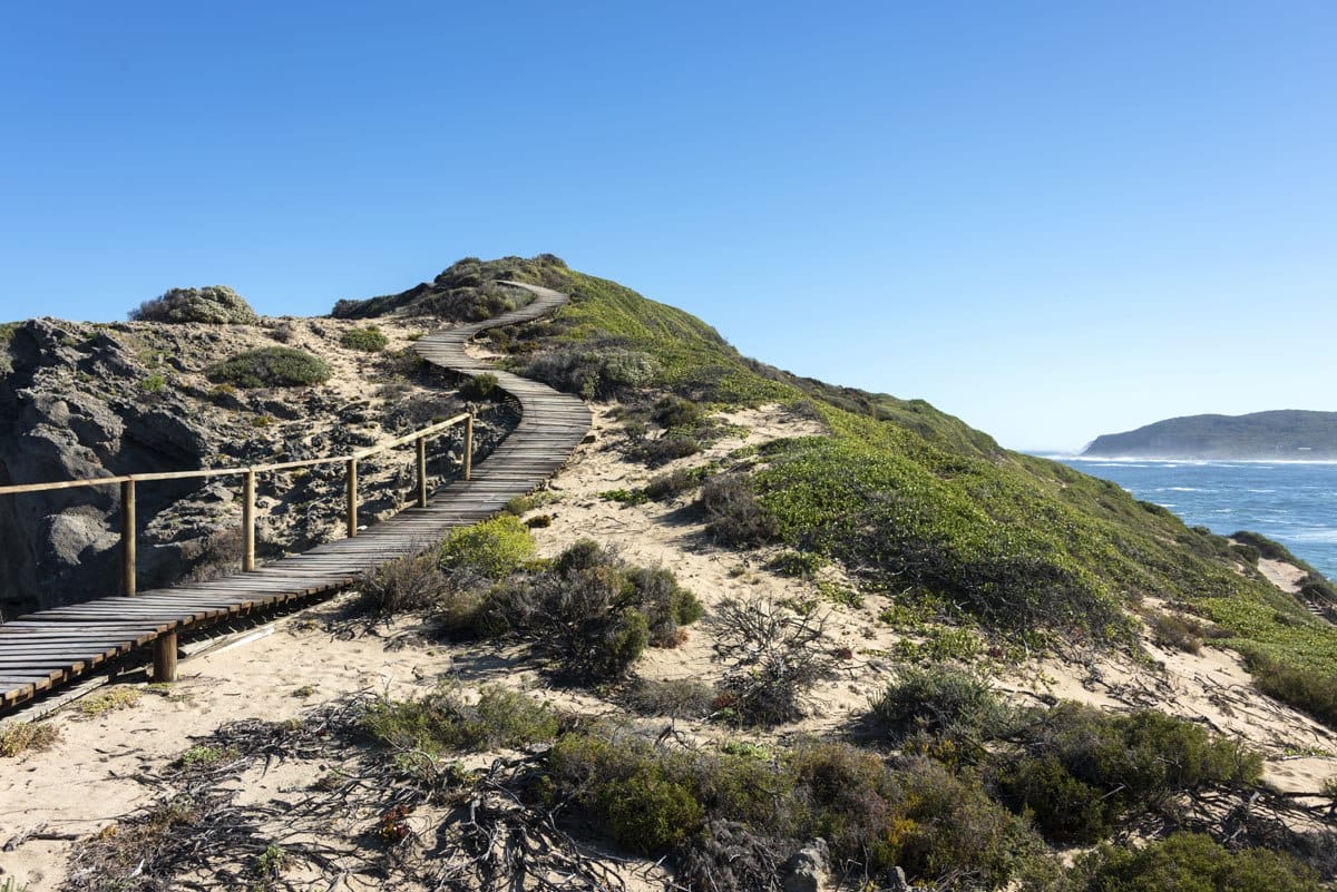 robberg island plett