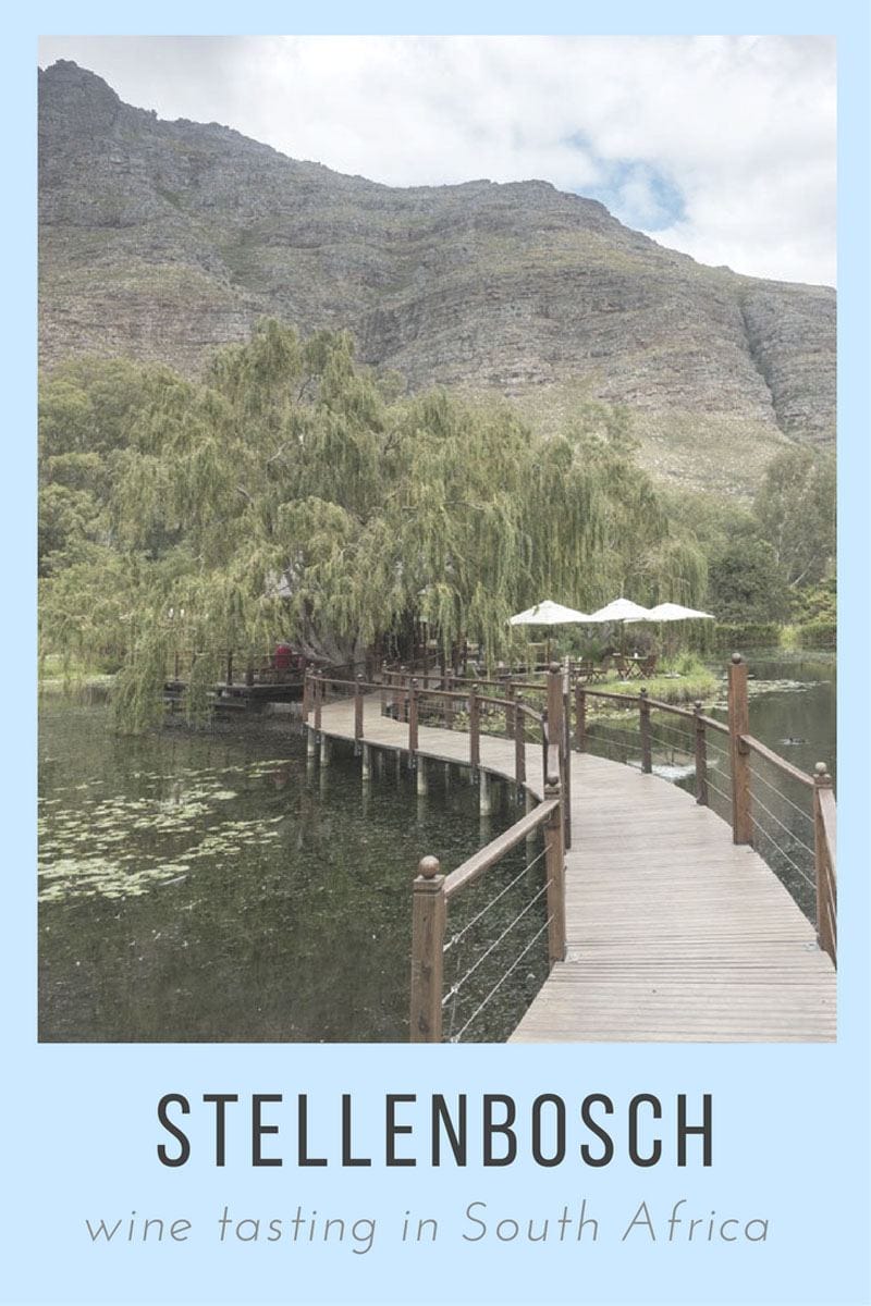 Stellenbosch - where to drink wine in South Africa!