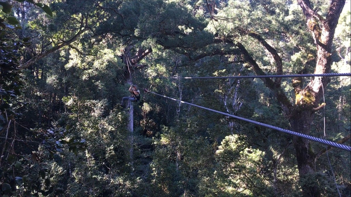 tsitsikamma canopy tour