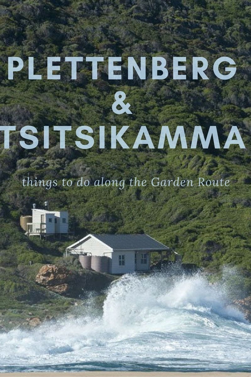things to do in tsitsikamma and plettenberg south africa