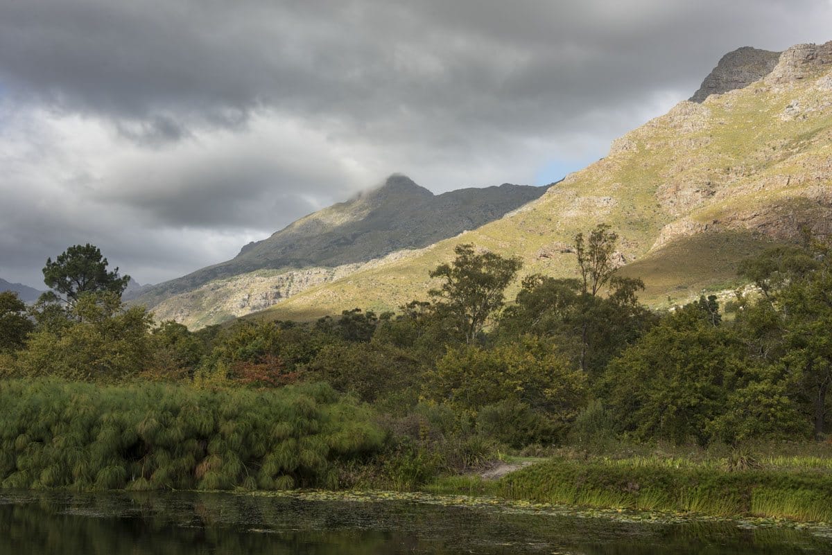 visit stellenbosch landscape