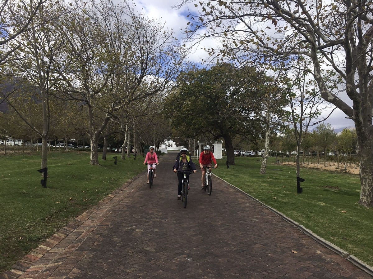 visit stellenbosch wine bike tour