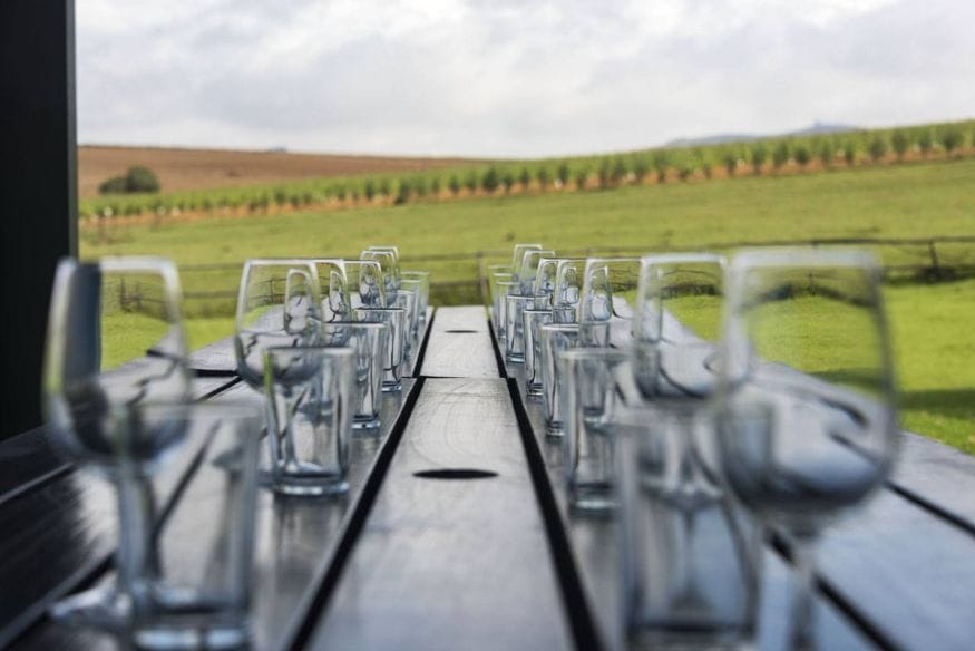 visit stellenbosch wine glasses