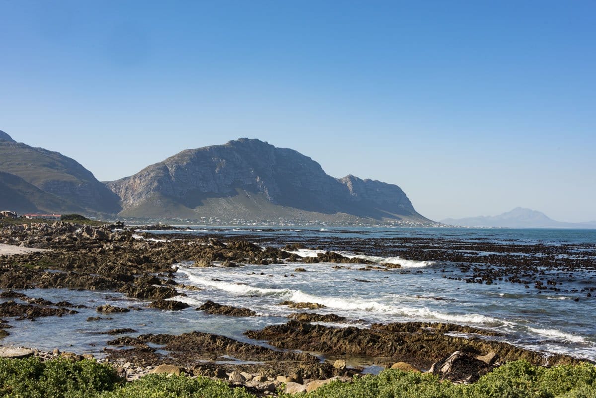 whale coast road western cape