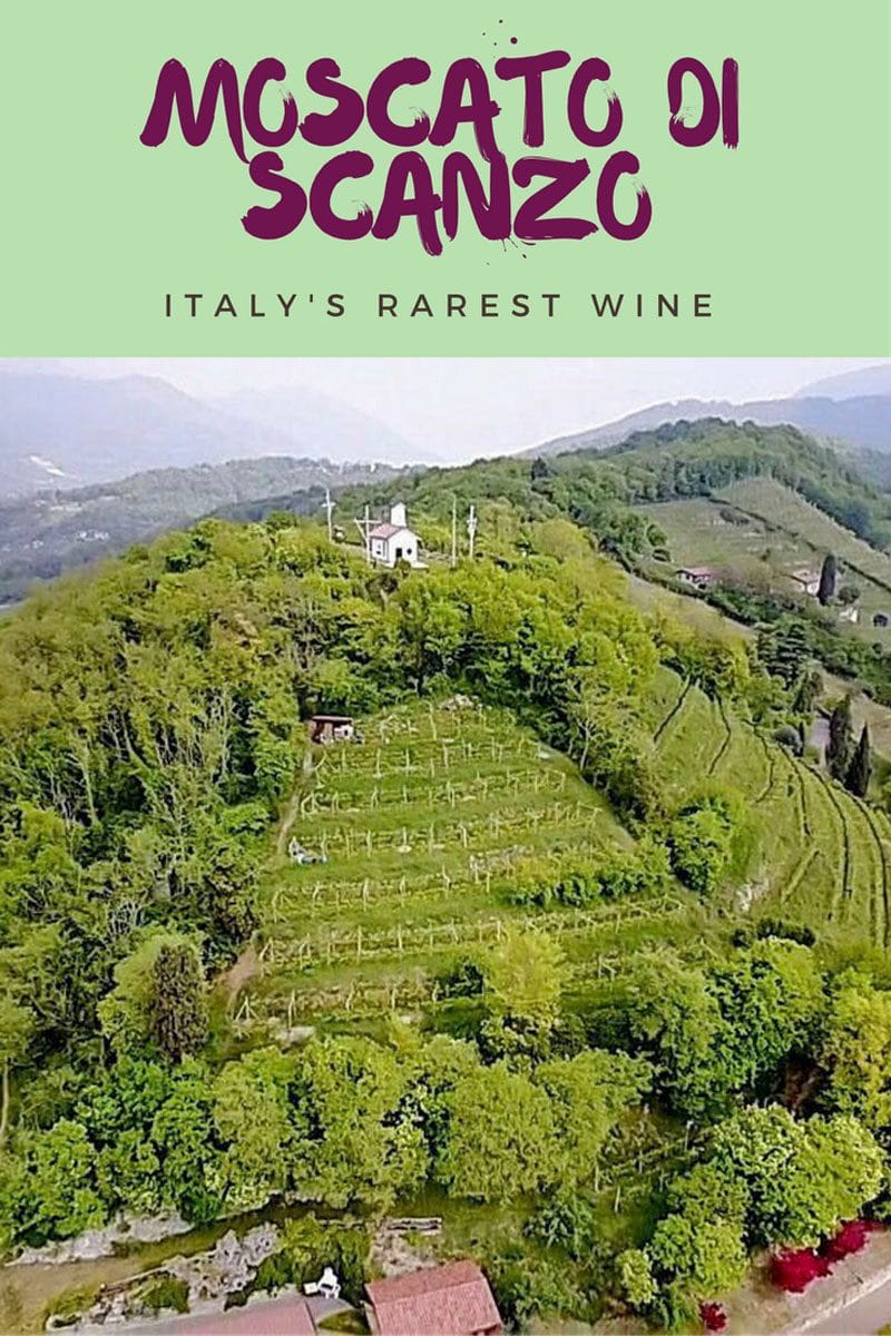 Moscato di Scanzo rarest italian wine