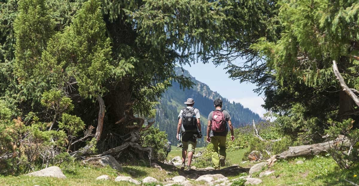 hiking kyrgyzstan under trees