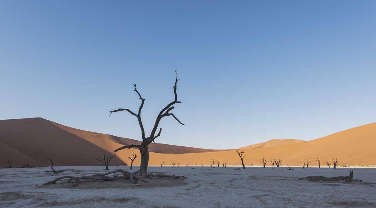 overlanding namibia safari sossusvlei