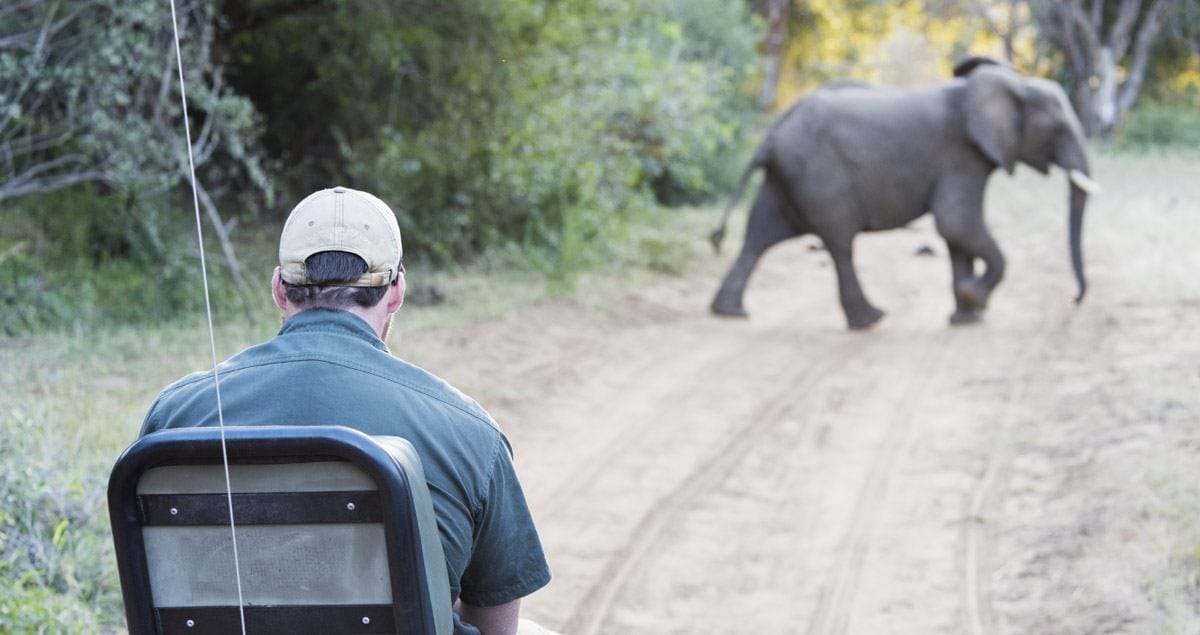 rukiya game drive elephant