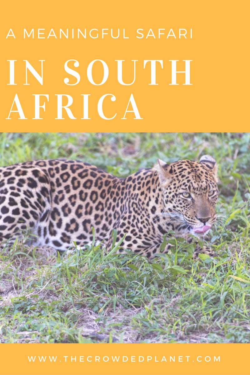 south africa safari pin 1