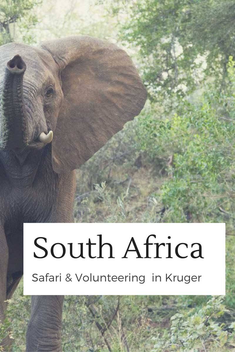 south africa safari pin 2