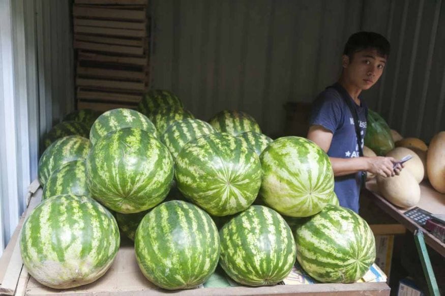 karakol bazaar watermelons