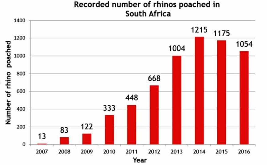 poached rhino statistics