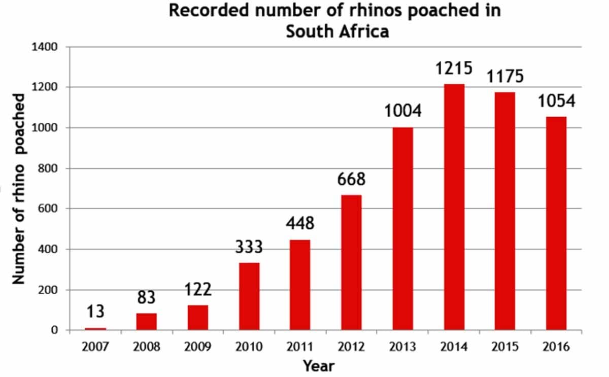 poached rhino statistics