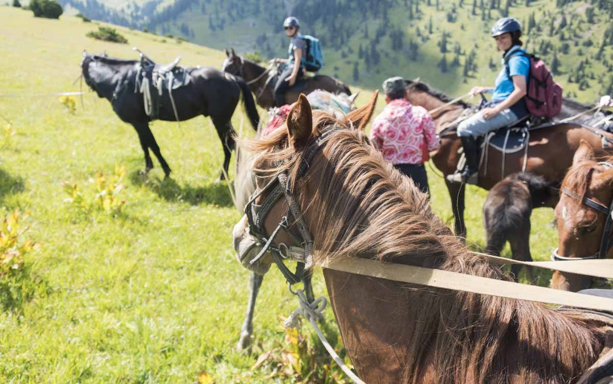 jyrgalan horse trek