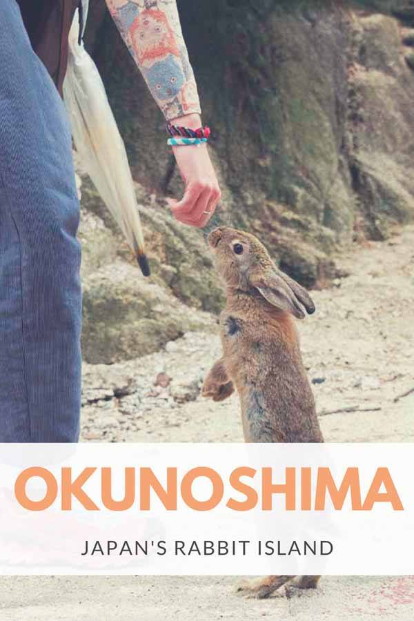 okunoshima pin