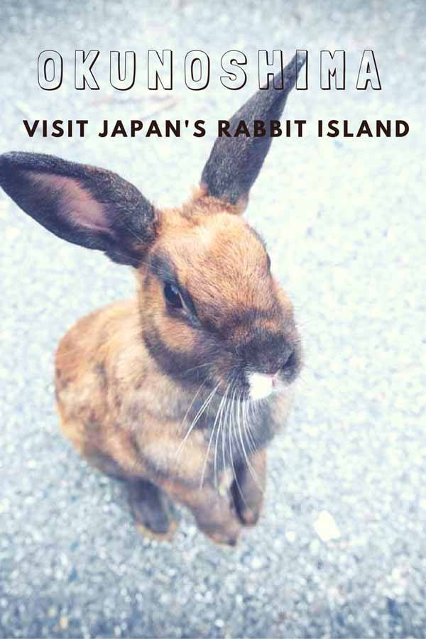 rabbit island pin