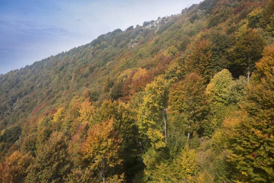 autumn colors monte baldo