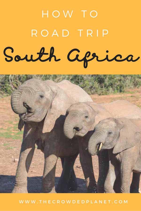 south africa itinerary pin