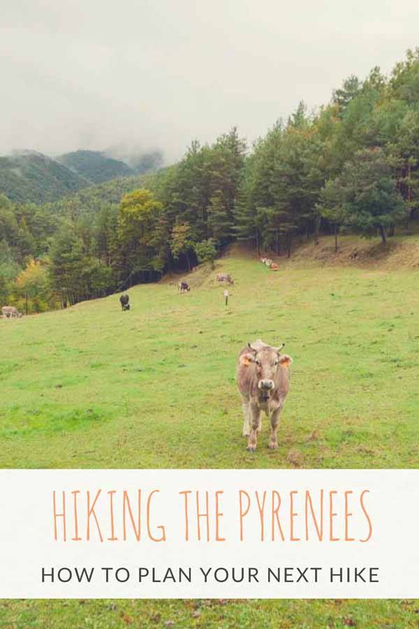 hiking girona pyrenees pin