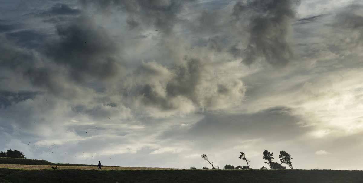 jersey afternoon storm