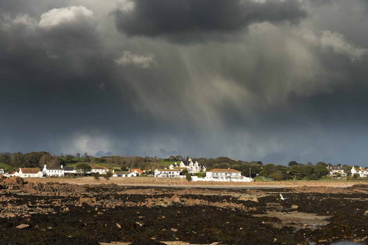 jersey la hocq storm