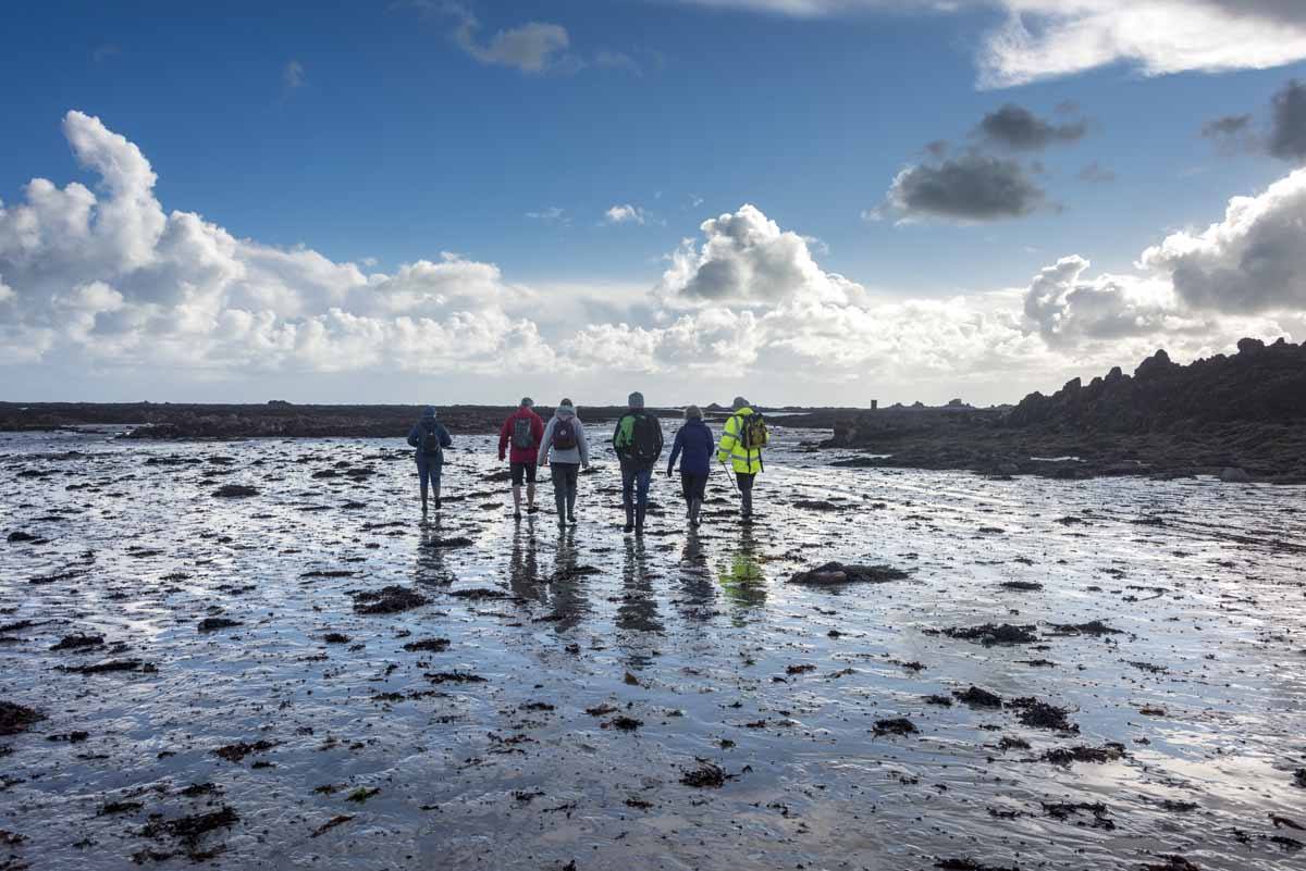 low tide walk jersey