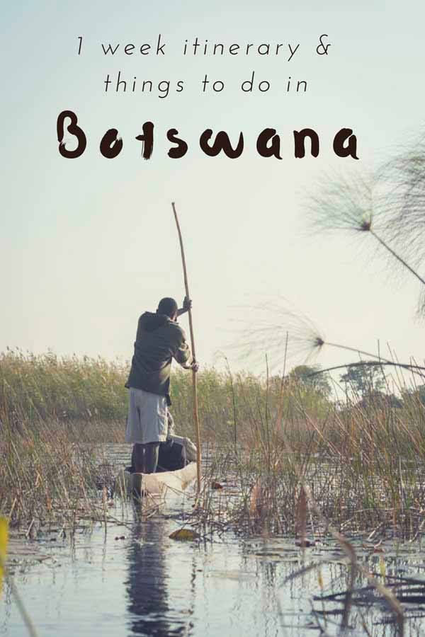 things to do in botswana pin