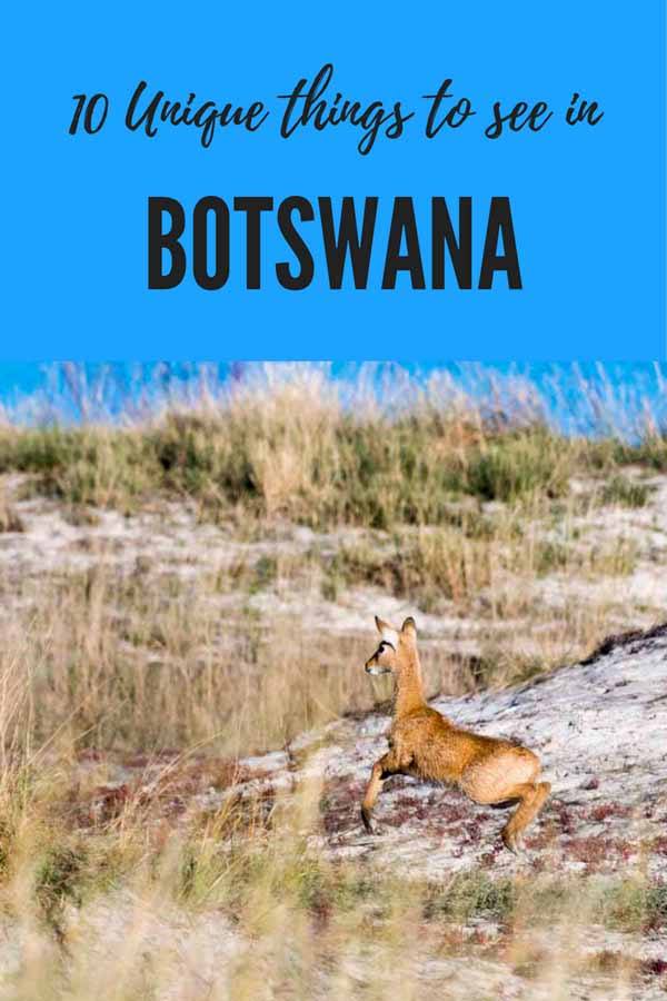 travel itinerary botswana pin