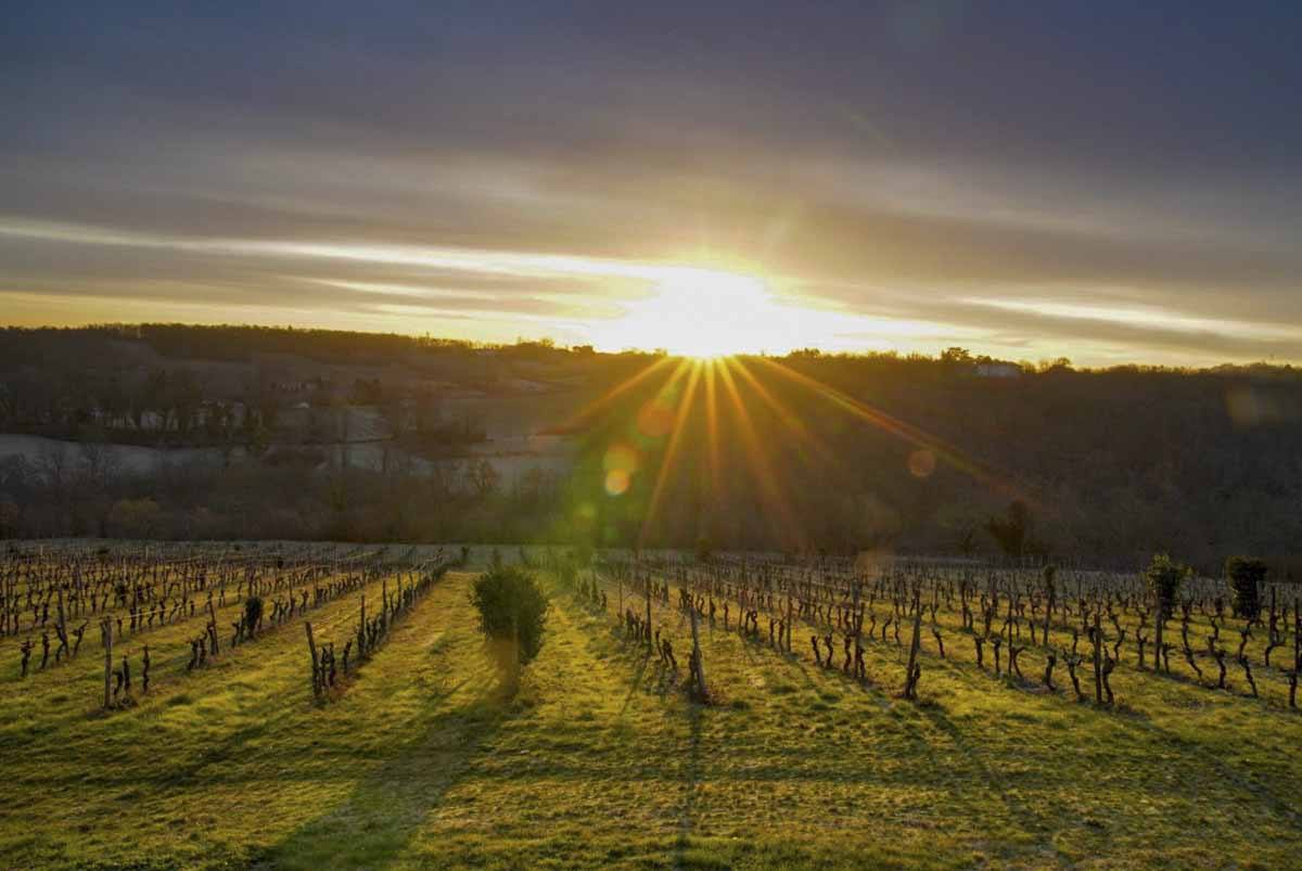 chateau feely biodynamic wine