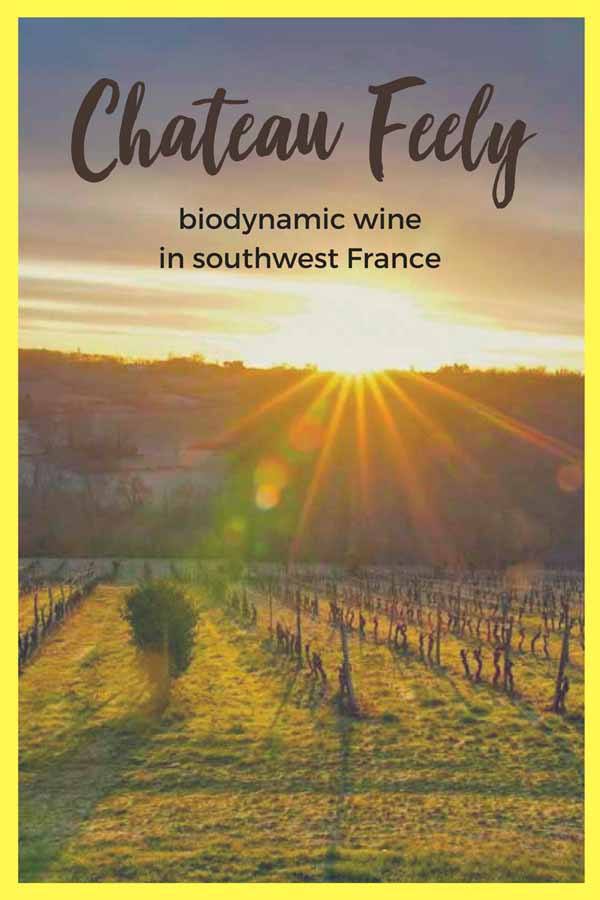 chateau feely saussignac pin