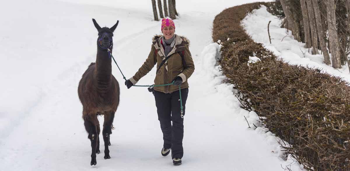 marghe ronaldo llama trekking