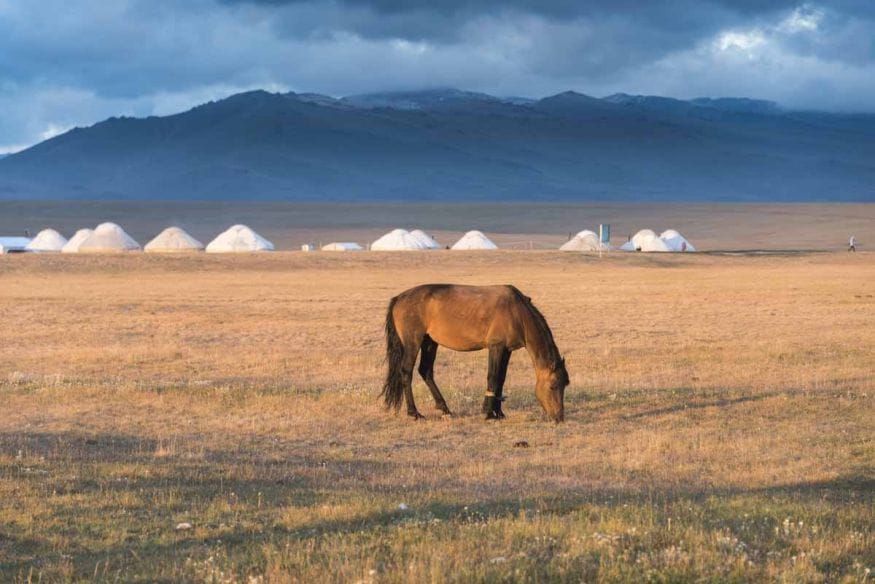 things to do in kyrgyzstan horse son kol