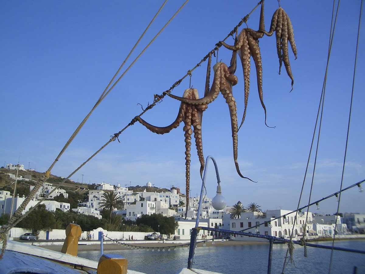 mykonos octopus drying