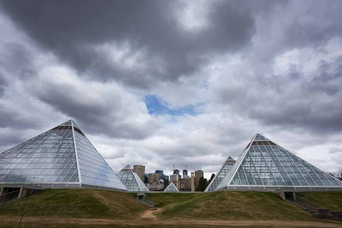 things to do in edmonton muttart conservatory